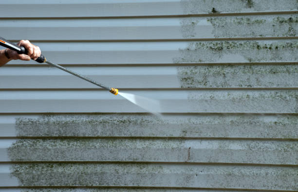 Best Roof Cleaning and Mildew Removal in Hawkins, TX